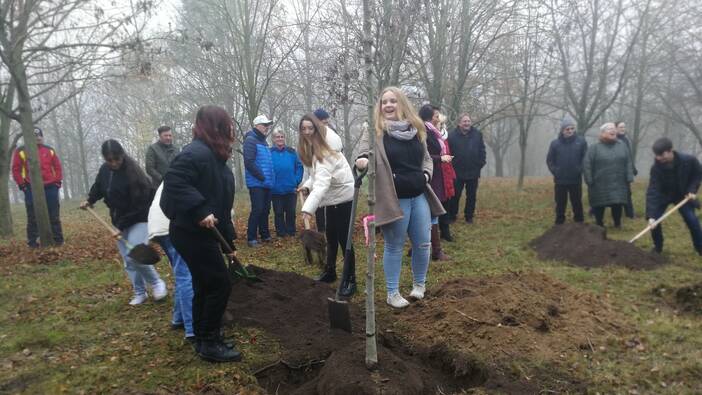 Schüler*innen pflanzten Bäume im Friedenswald Werbig
